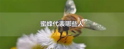 家里有蜜蜂代表什么 14數字